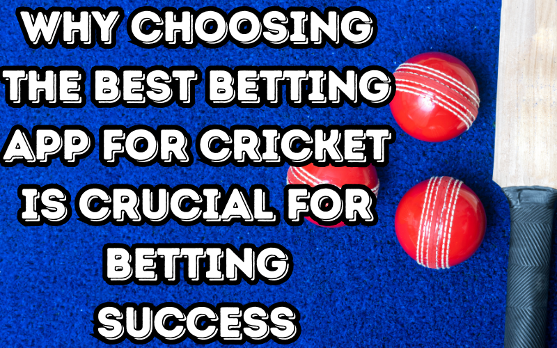 best betting app for cricket