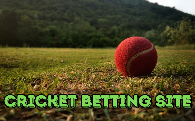 cricket betting site