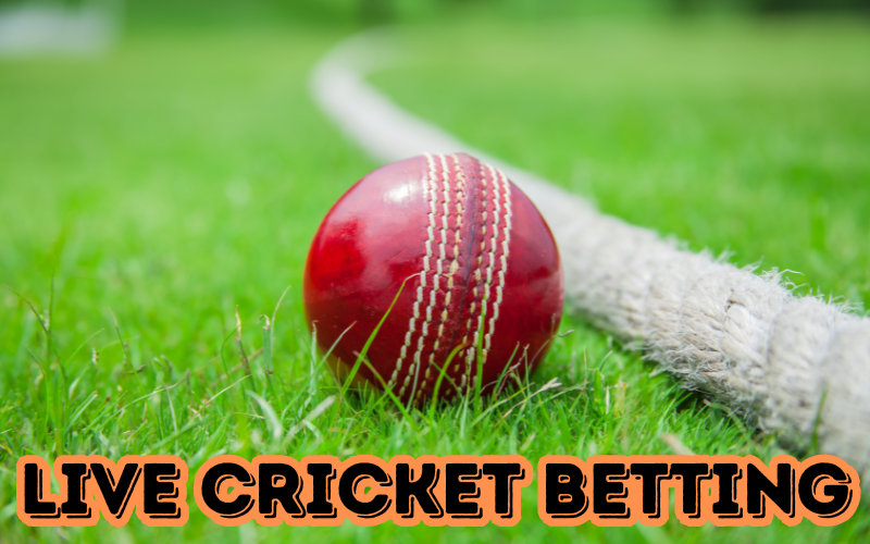 live cricket betting