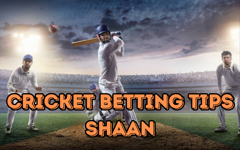 cricket betting 