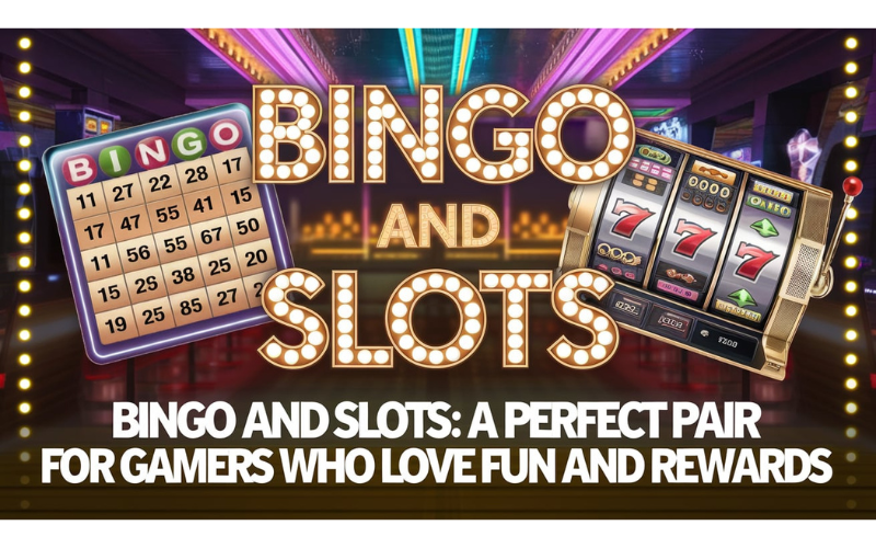 bingo and slots​